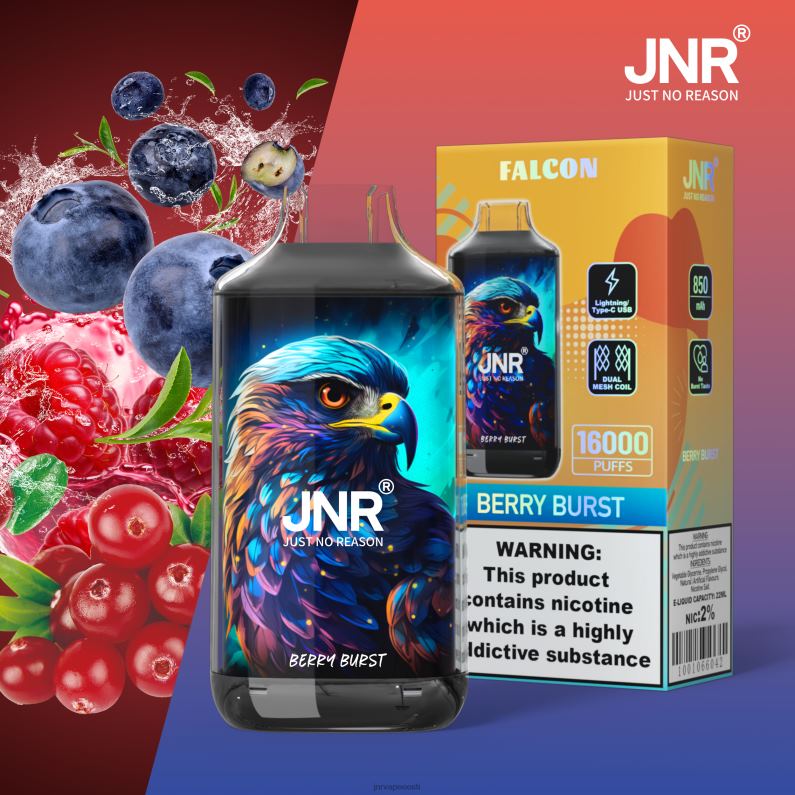 JNR Vape Price - jnr pistrik marjapuhang HLN2X191