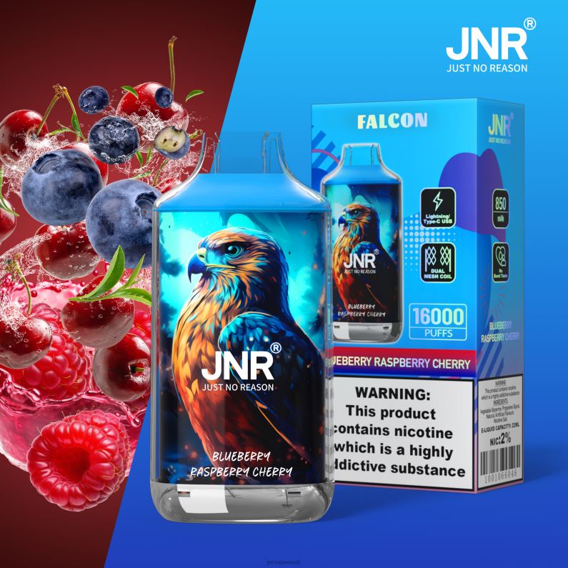 JNR Vape Shop - jnr pistrik mustikas vaarikas kirss ilma puuviljadeta HLN2X216
