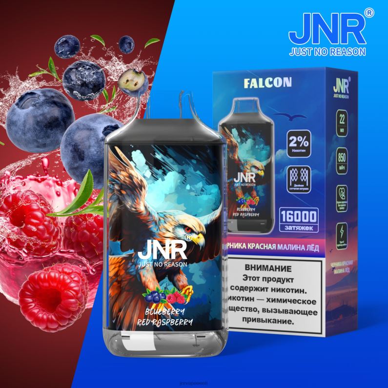 JNR Vapes Factory - jnr pistrik mustika granaatõuna jää ilma puuviljadeta HLN2X215