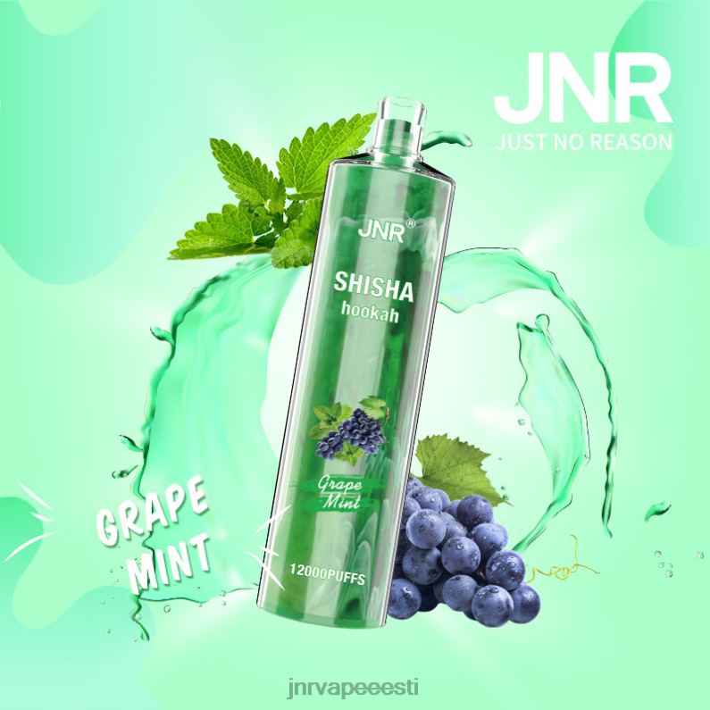 JNR Vape Price - jnr Shisha viinamarja piparmünt HLN2X171