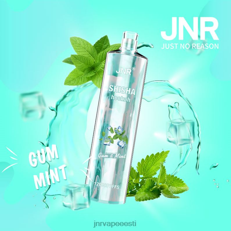 JNR Vape Review - jnr Shisha kummi ja piparmünt HLN2X164