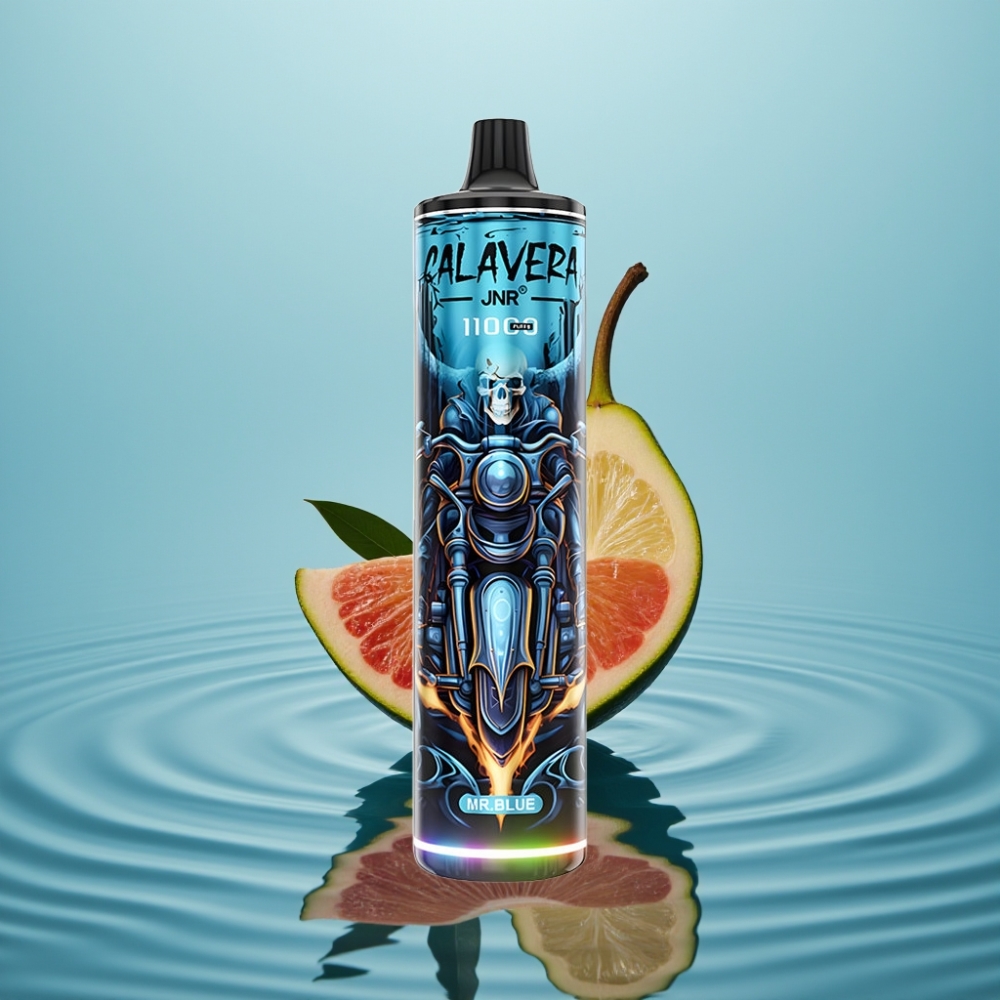JNR Calavera 11000 Puffs 21ml 850mAh Type-C Hr Blue