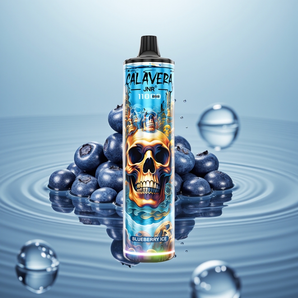 JNR Calavera 11000 Puffs Mustikas-Jää 850mAh USB-C