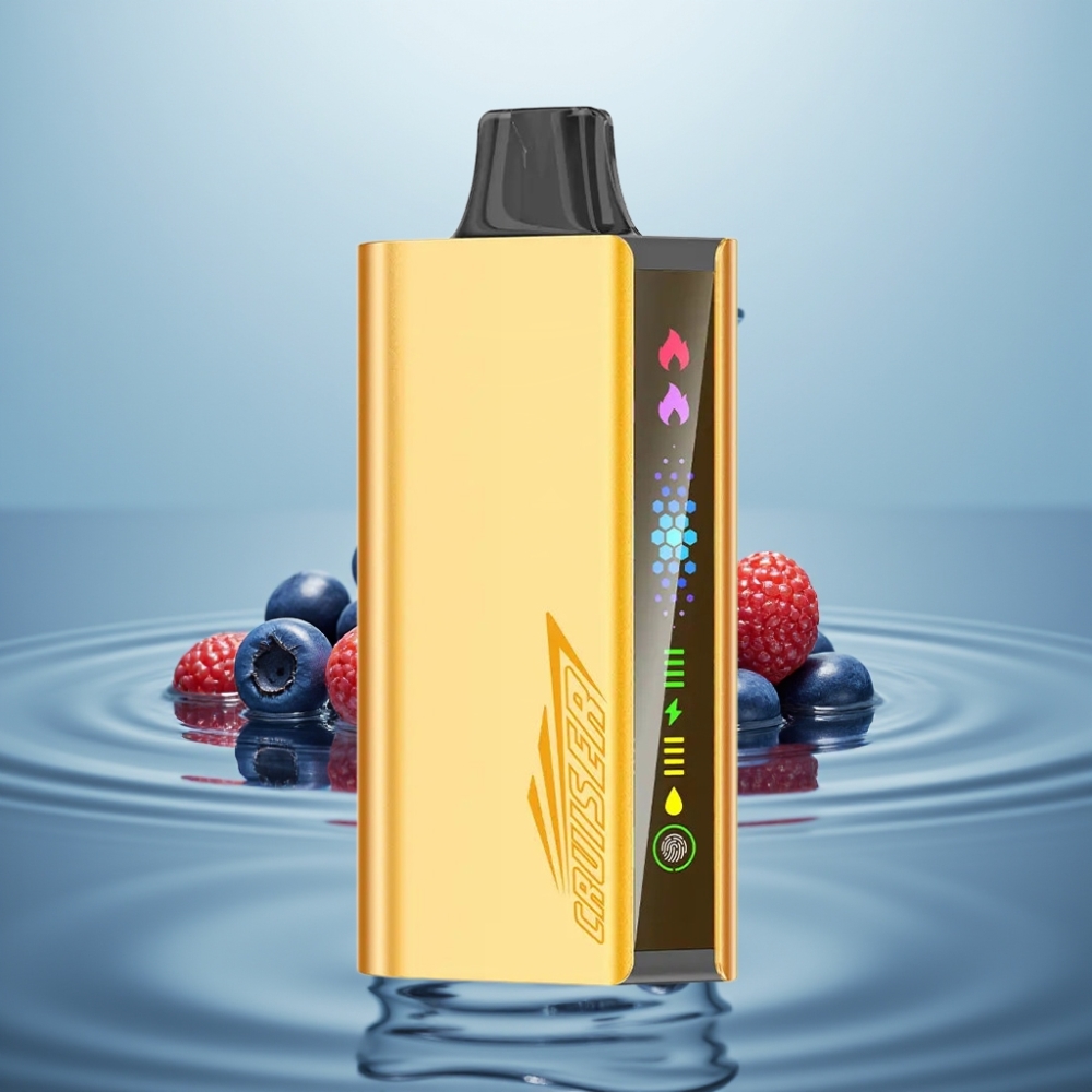 JNR Cruiser 12000 Puffide Laadimata Disposabel Vape Mustikas Plahvatus 3500mAh 25ml
