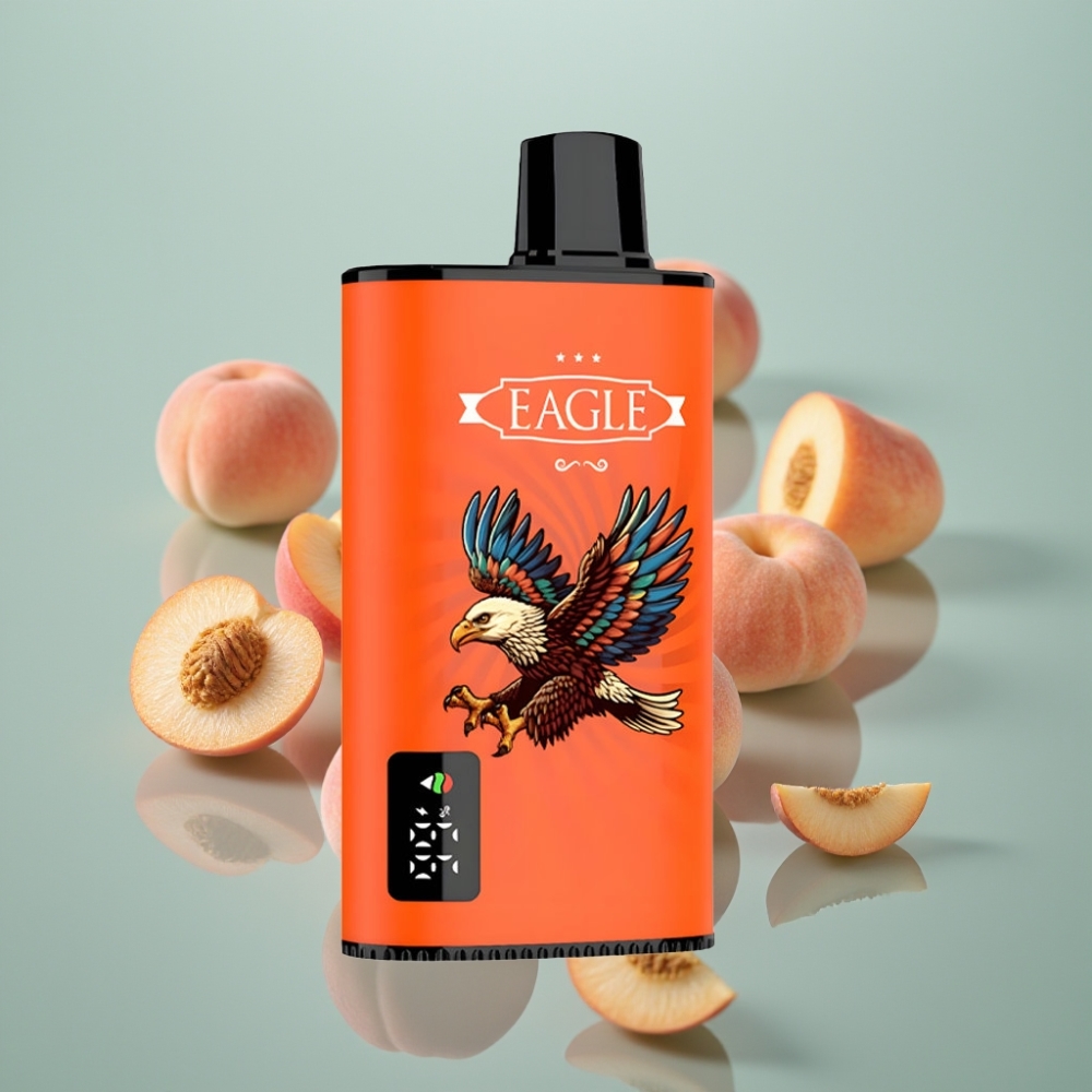 JNR EAGLE Smart 23000 Puhangut Juicy Peaches Digitaalekraan 1.0ohm 25ml