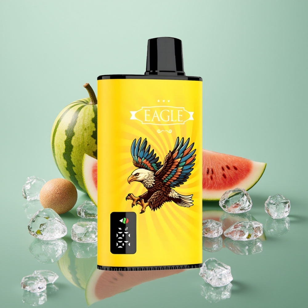 JNR EAGLE Smart 23000 Puhud Digitaalne Ekraan 1.0ohm Mesh Kiiwivee-Arbuusijää