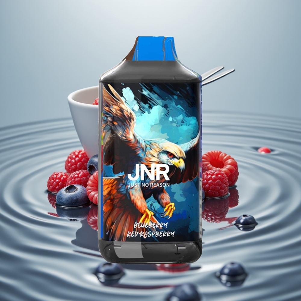 JNR Falcon 16000 Puffs 850mAh 22ml Mustikas Punane Vaarikas