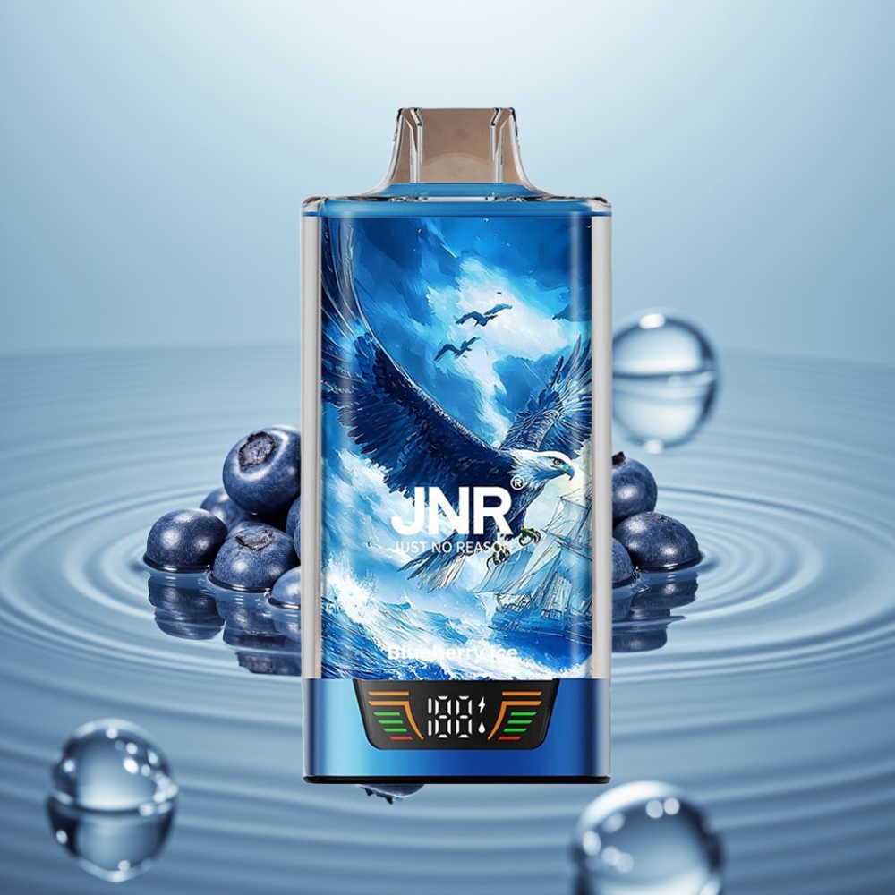 JNR Falcon Pro 28000 Mustikas-Jää 30ml 950mAh
