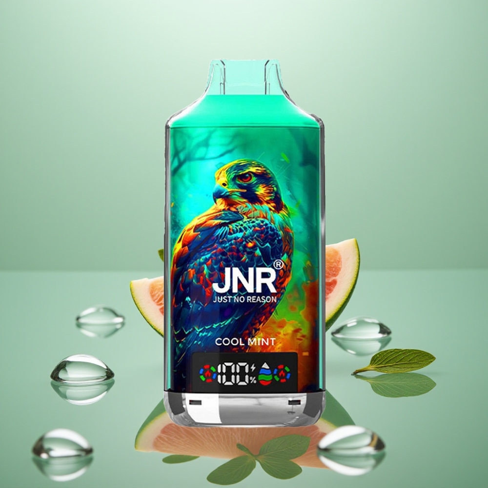 JNR Falcon X 18000 Puffs 750mAh 24ml Jahe Münt