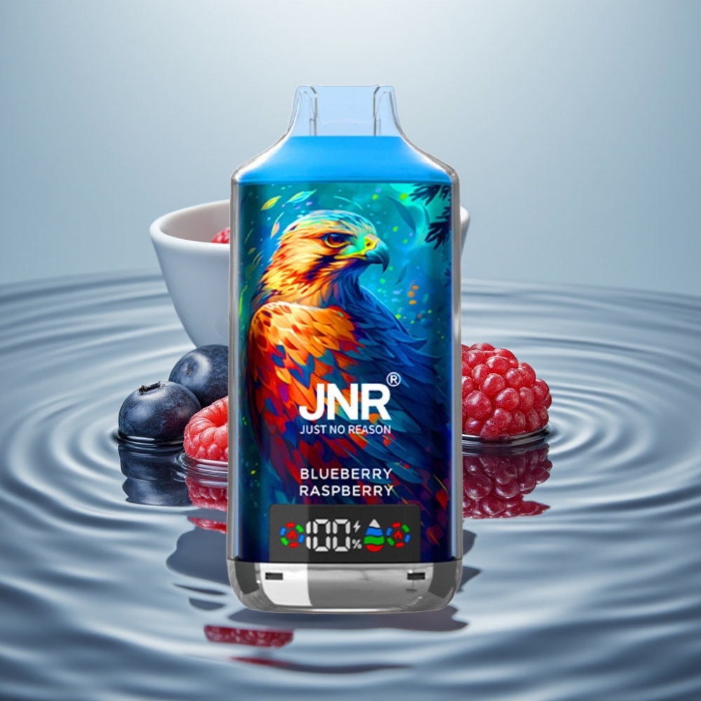 JNR Falcon X 18000 Puffs 750mAh Sinikas Vaarikas