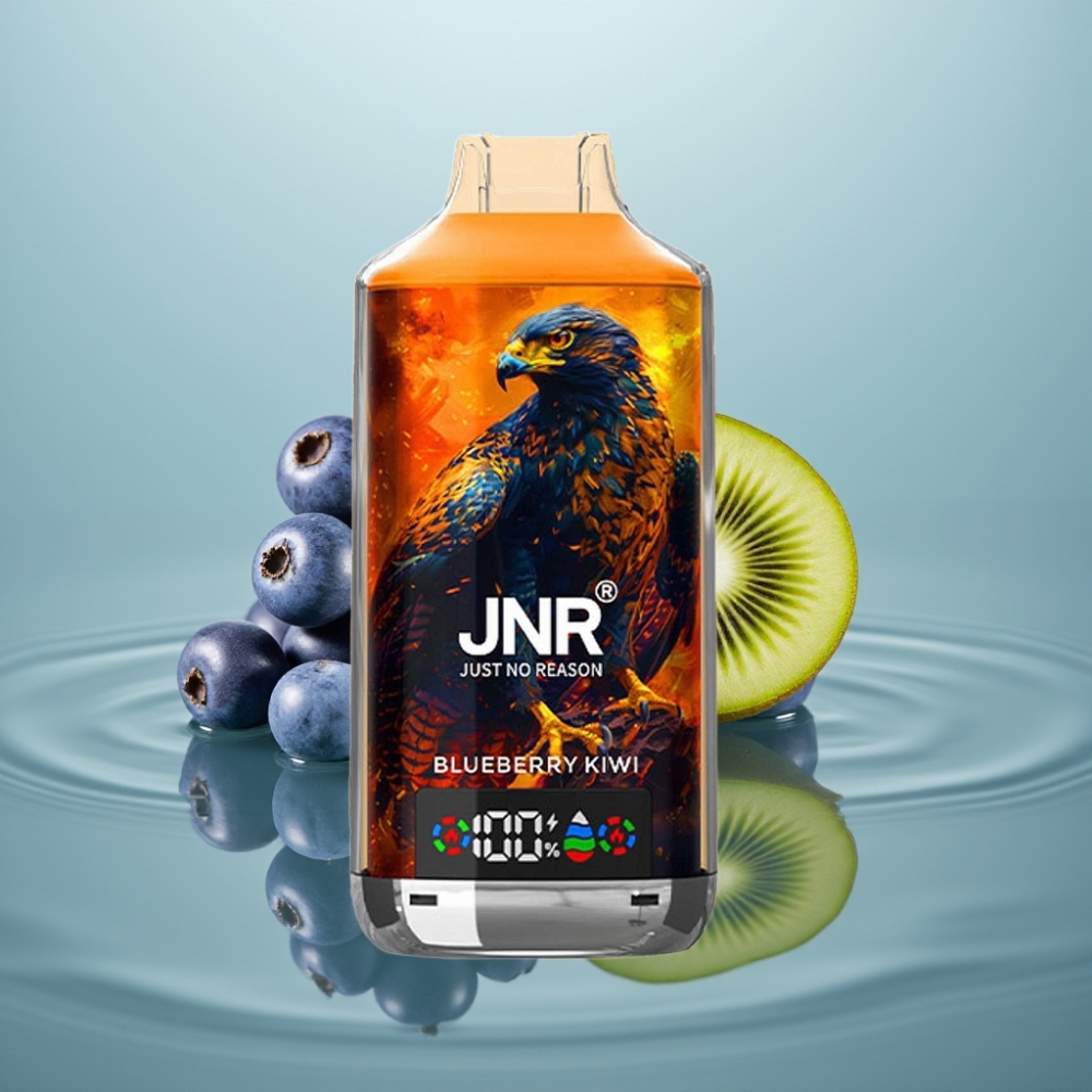 JNR Falcon X 18000 Puffs 750mAh Sinimoorusmeloni Tüüp-C