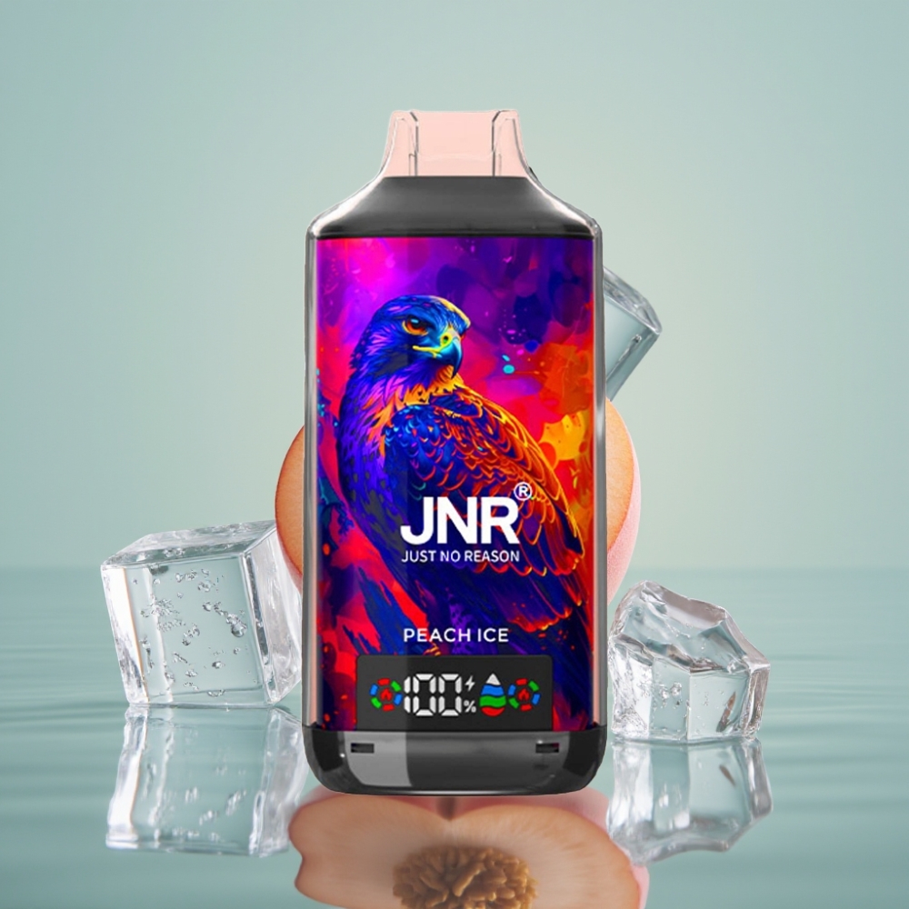 JNR Falcon X 18000 Puhangud (24ml, 750mAh, Virsik-Jää)