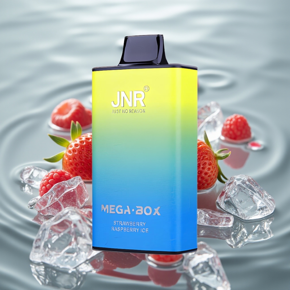 JNR Mega Box 25000 Puffi Disposable Vape Maasika-Vaarik Jää 30ml 850mAh Dual Mesh