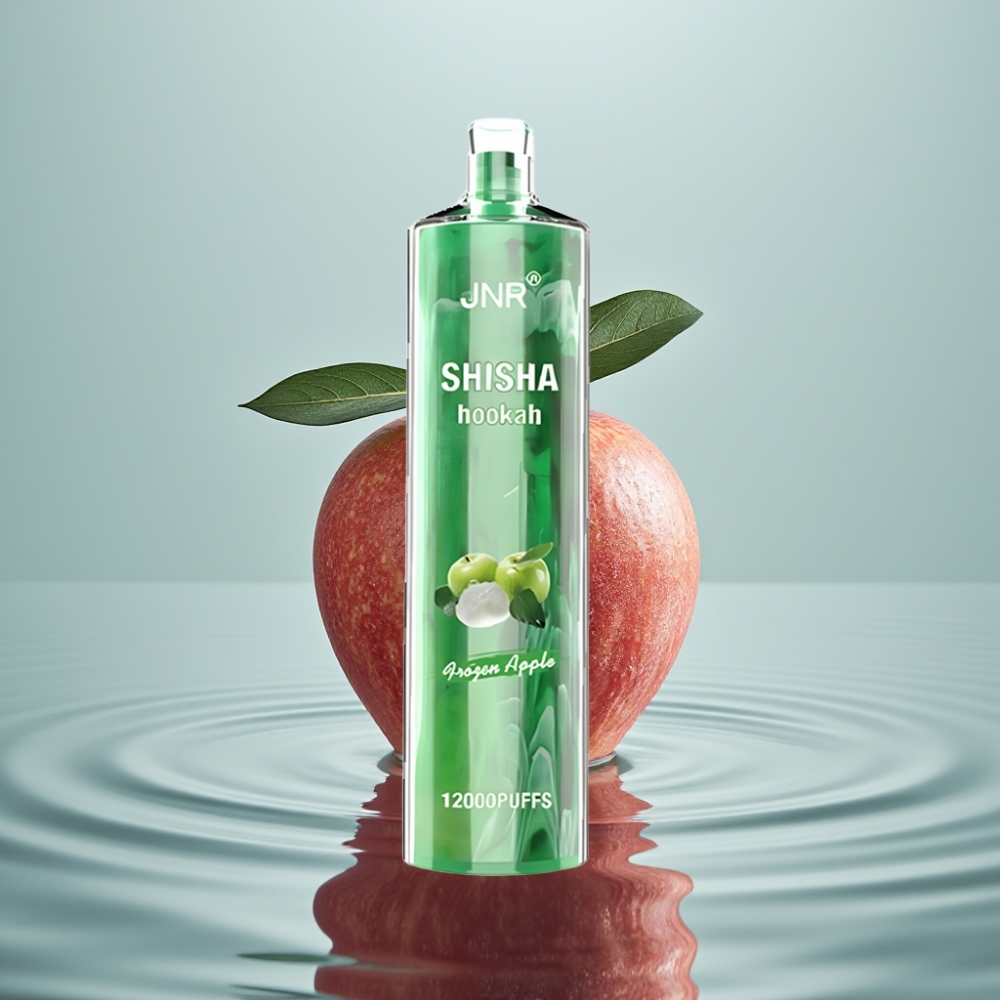 JNR Shisha Hookah 12000 Puffs 24ml 750mAh Külm Õun