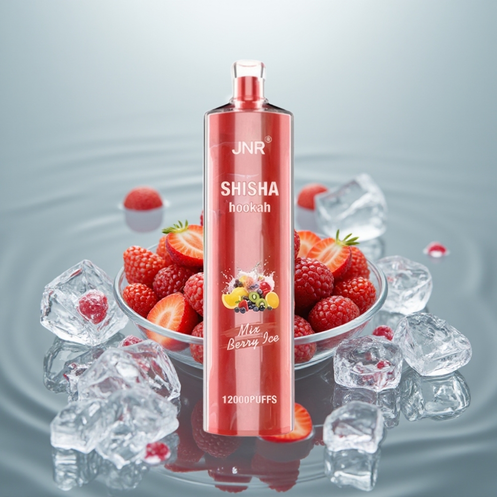 JNR Shisha Hookah 12000 Puffs 24ml 750mAh Marja-Jää