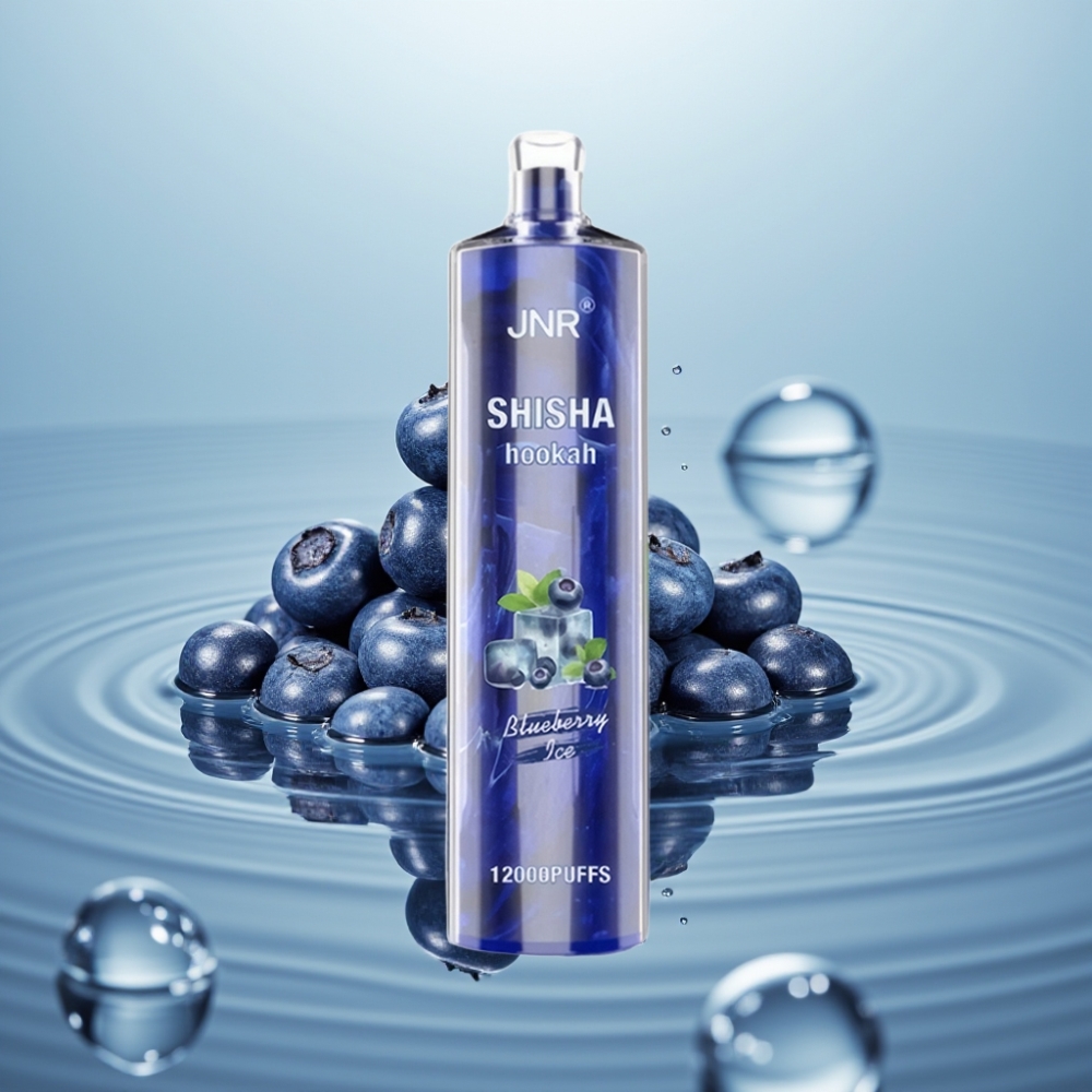 JNR Shisha Hookah 12000 Puffs 24ml 750mAh Mustikas-Jää