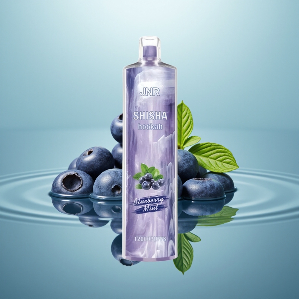 JNR Shisha Hookah 12000 Puffs 24ml 750mAh Mustikas-Münt