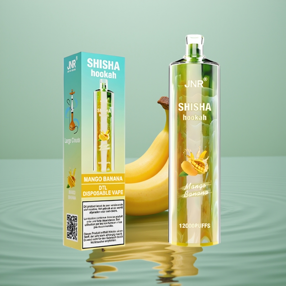 JNR Shisha Hookah 12000 Puffs 24ml Mango-Banaan 750mAh Type-C