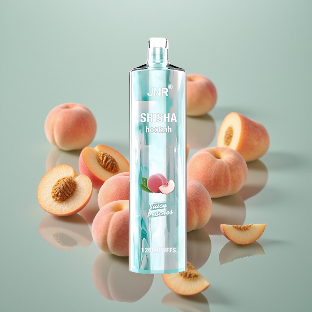 JNR Shisha Hookah 12000 Puffs 750mAh 24ml Mahlane Virsik