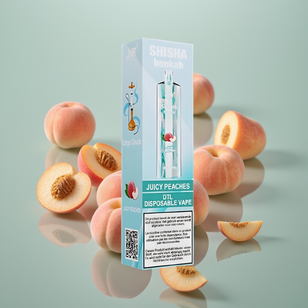 JNR Shisha Hookah 12000 Puffs 750mAh 24ml Mahlane Virsik