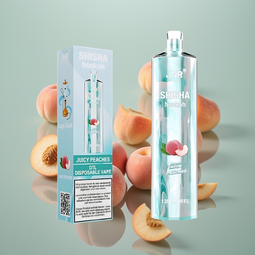 JNR Shisha Hookah 12000 Puffs 750mAh 24ml Mahlane Virsik