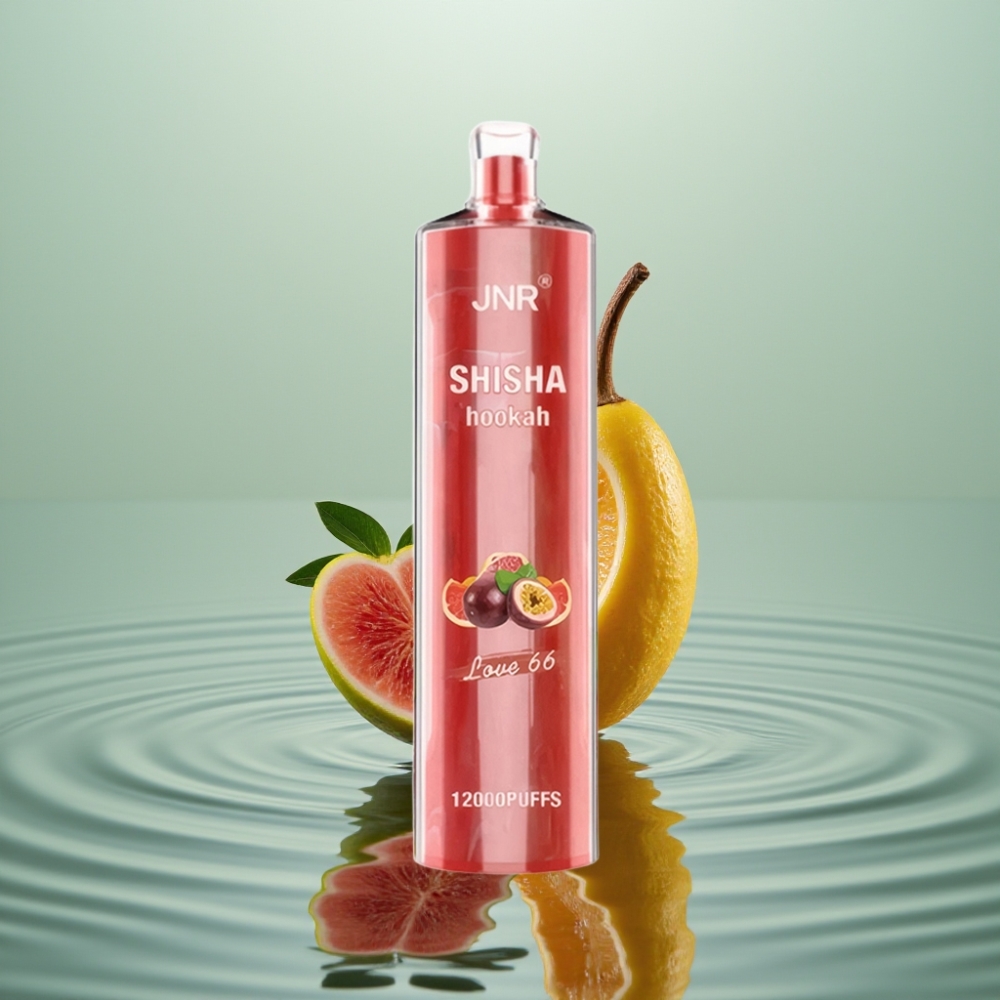 JNR Shisha Hookah 12000 Puffs Armastus 66 24ml 750mAh Type-C