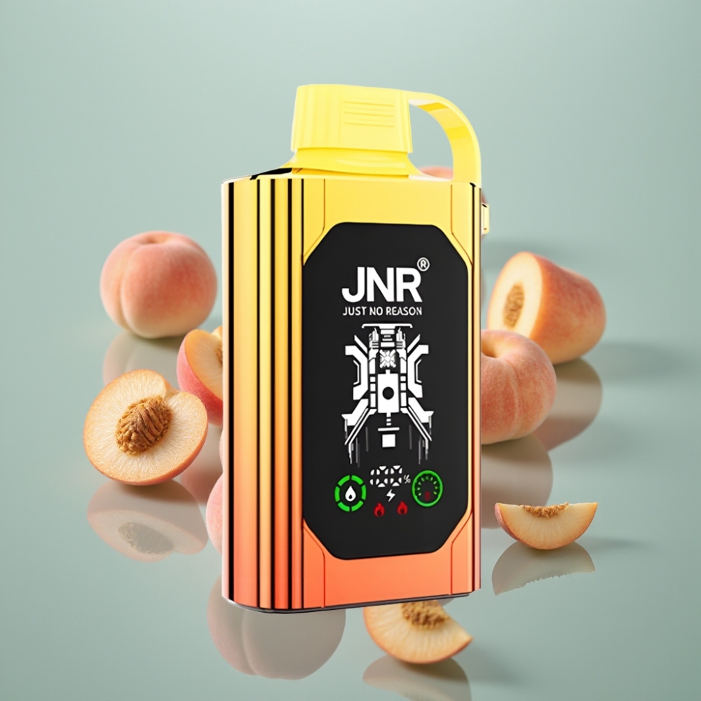 JNR Shisha Hookah Box 20500 Puffs Dual Mesh Coil Mahlased Virsikud