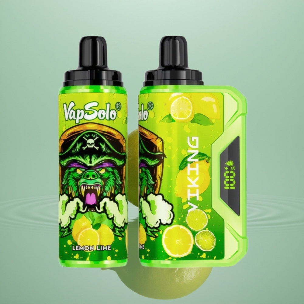 VapSolo VIKING 12000 Puffs 22ml SidrunLaim Type-C