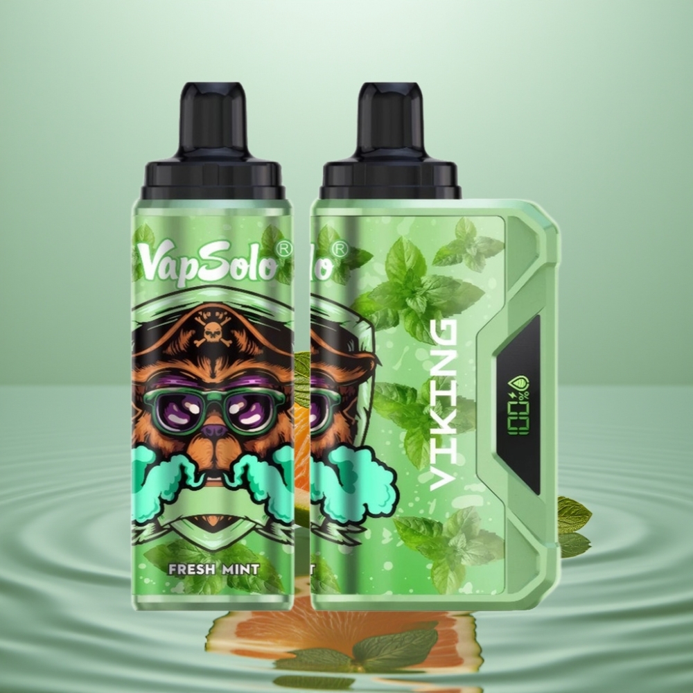 VapSolo VIKING 12000 Puffs Disposable Vape Värske Münt 22ml Type-C