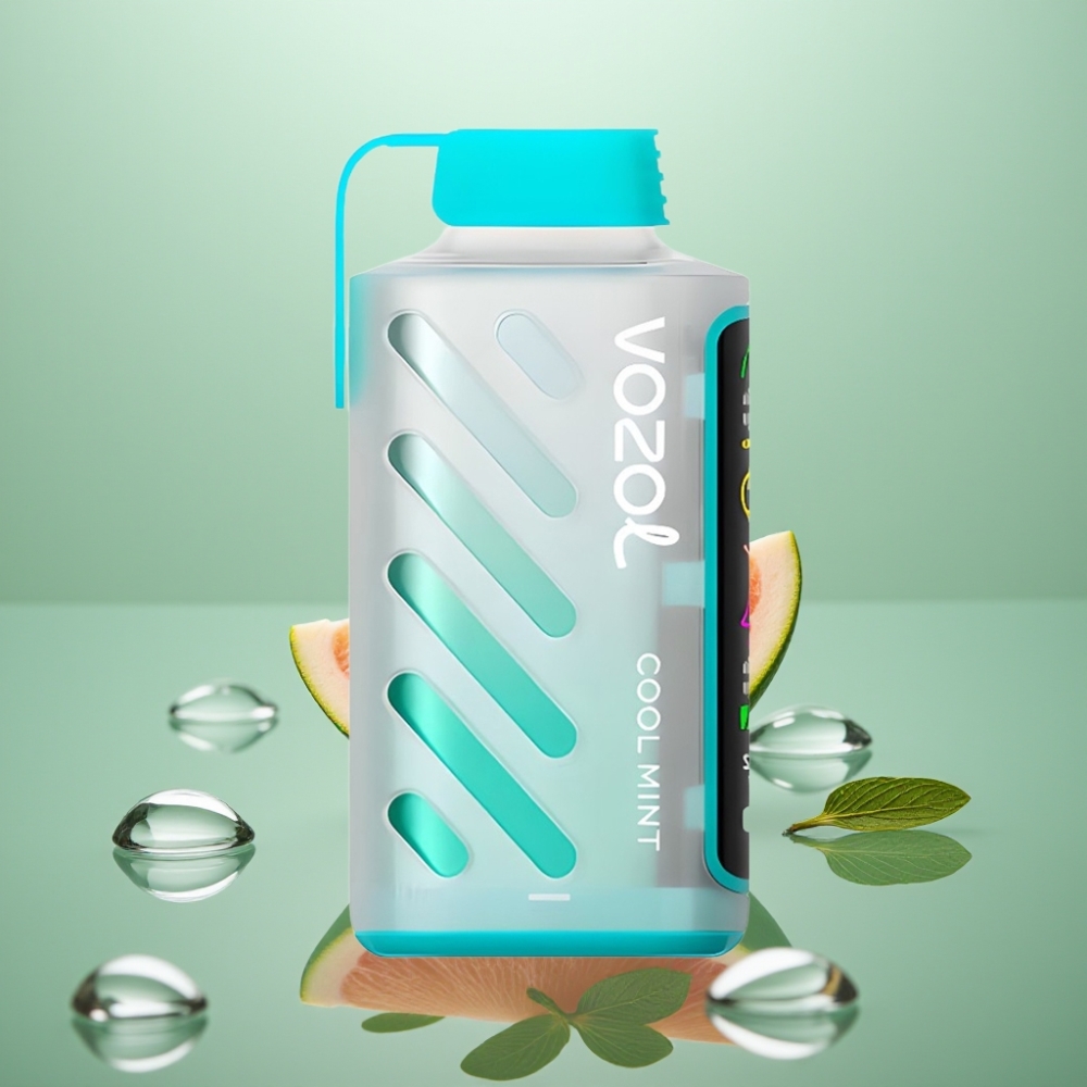 VOZOL Gear Power 20000 Suts ECO 20mL Jahmint