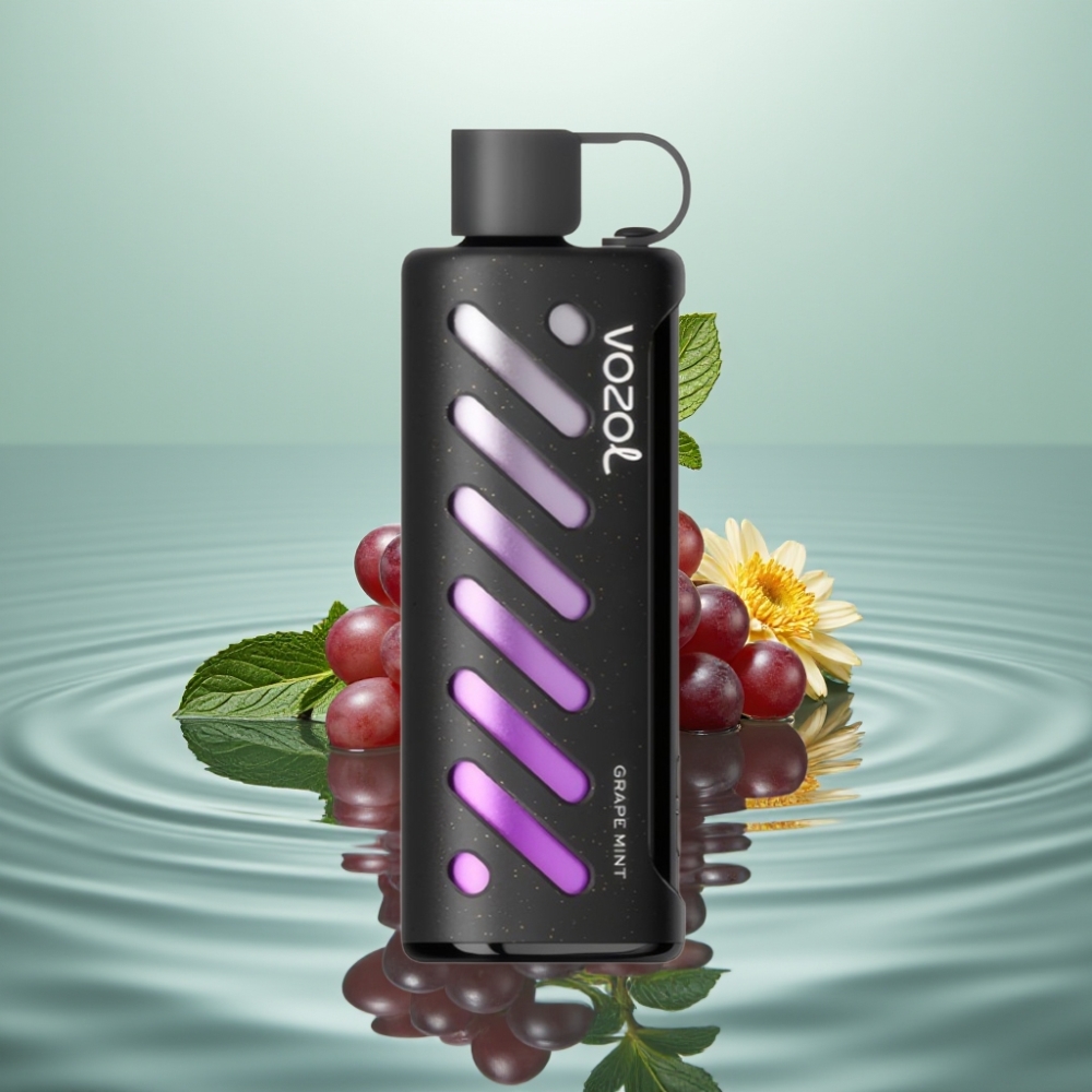 VOZOL Gear Shisha 25000 Lööki Dual Mesh Viinamädi Münt