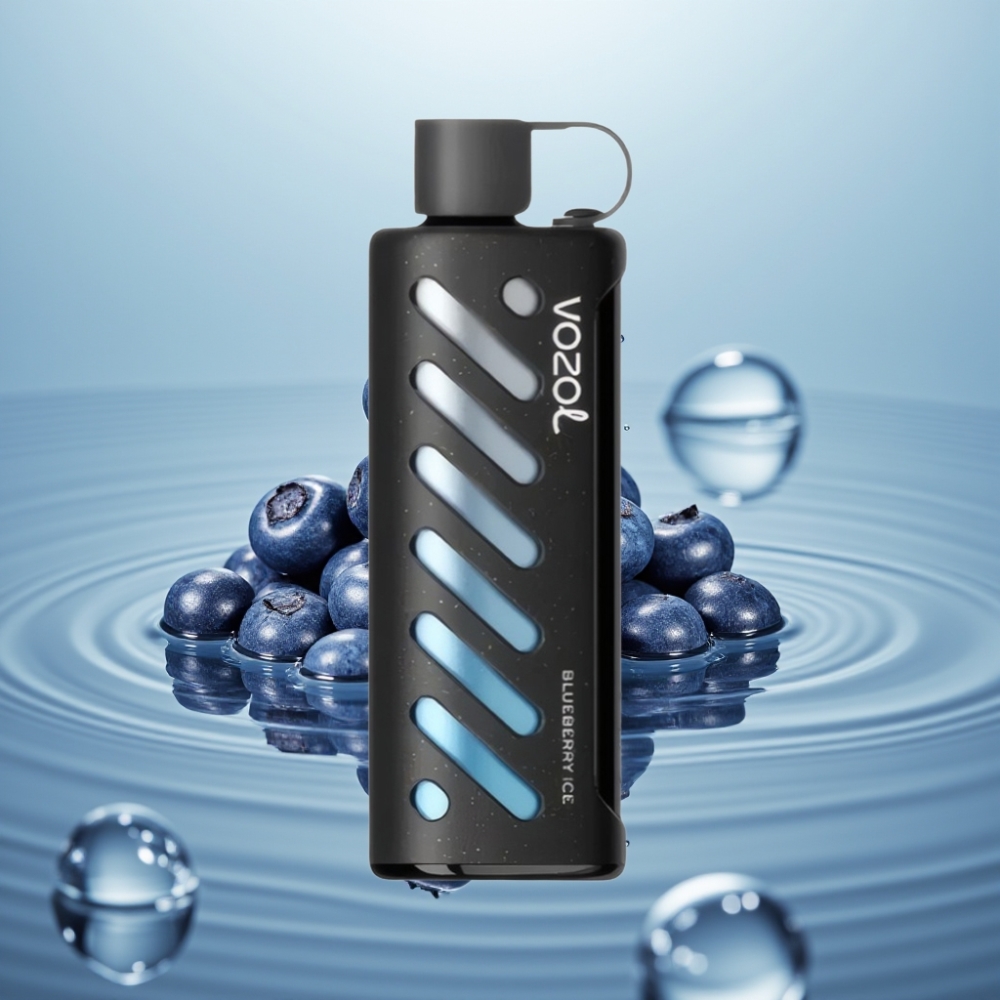 VOZOL Gear Shisha 25000 Puffs 1000mAh Mustikas&Jää Dual Mesh