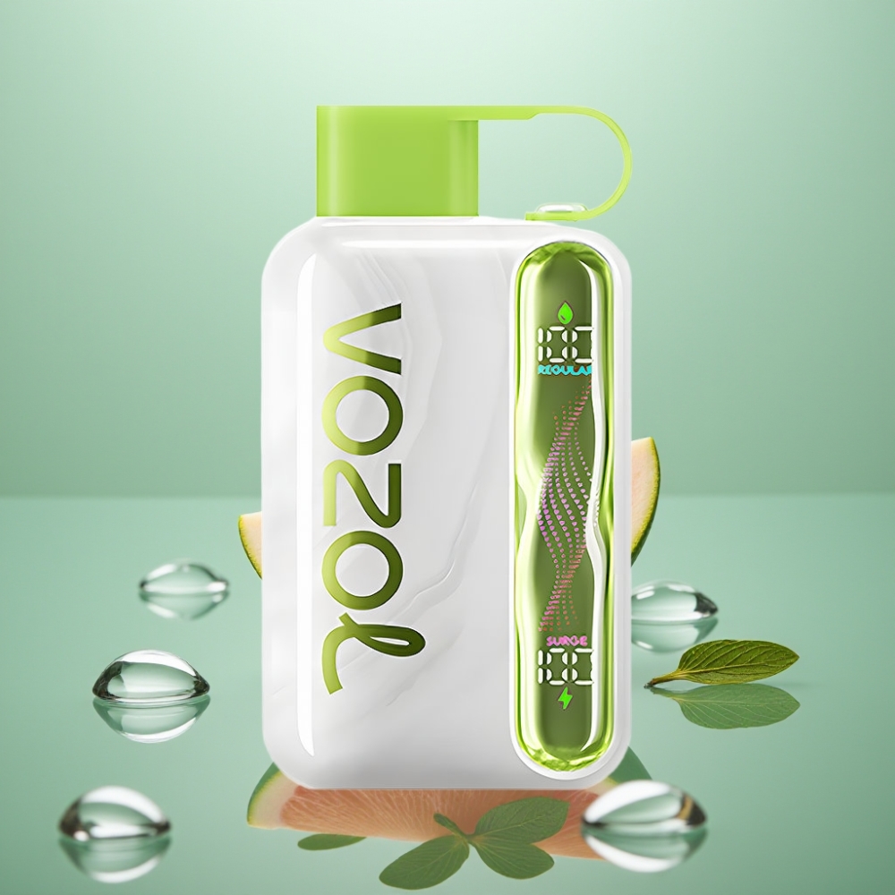 VOZOL STAR 40000 Disposable Vape Jahmint 1000mAh Type-C