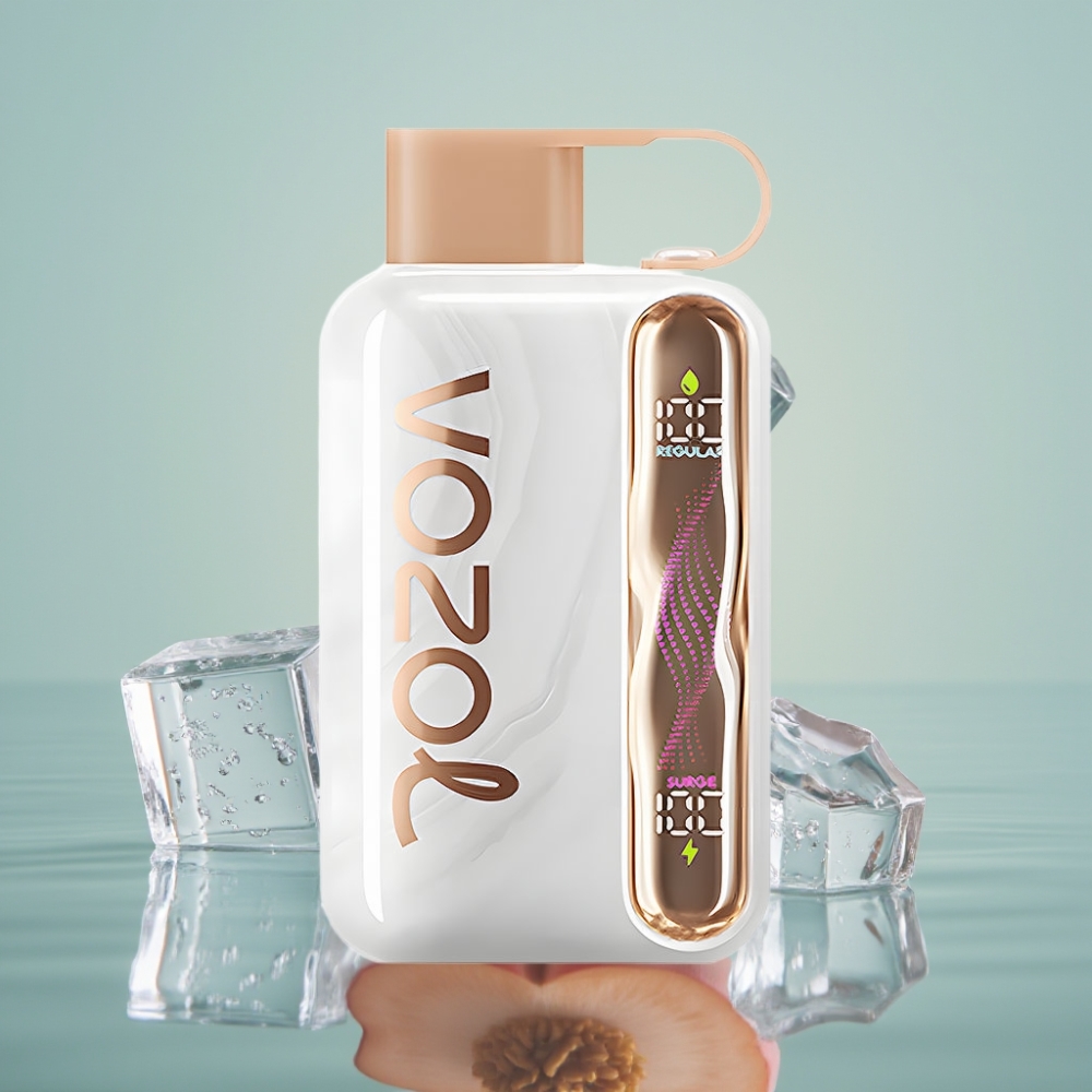 VOZOL STAR 40000 Härmatis-Jää Ühekordne Vape Tüüp-C 1000mAh