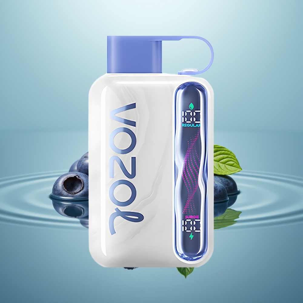 VOZOL STAR 40000 Heitmishubesti Mustikas-Mündiga 1000mAh Type-C