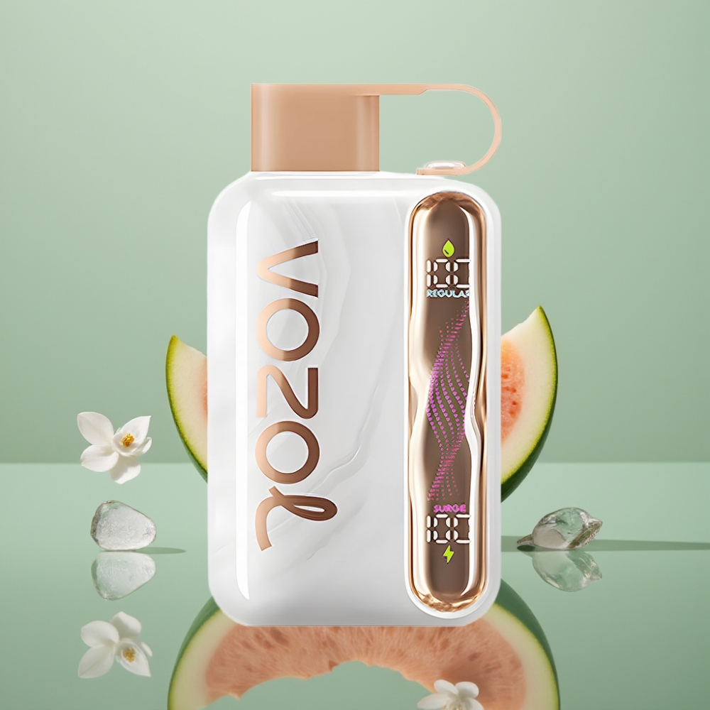 VOZOL STAR 40000 Mahutatav Vape Maasika-Melon-Pirsak 1000mAh 20/50mg/ml Type-C