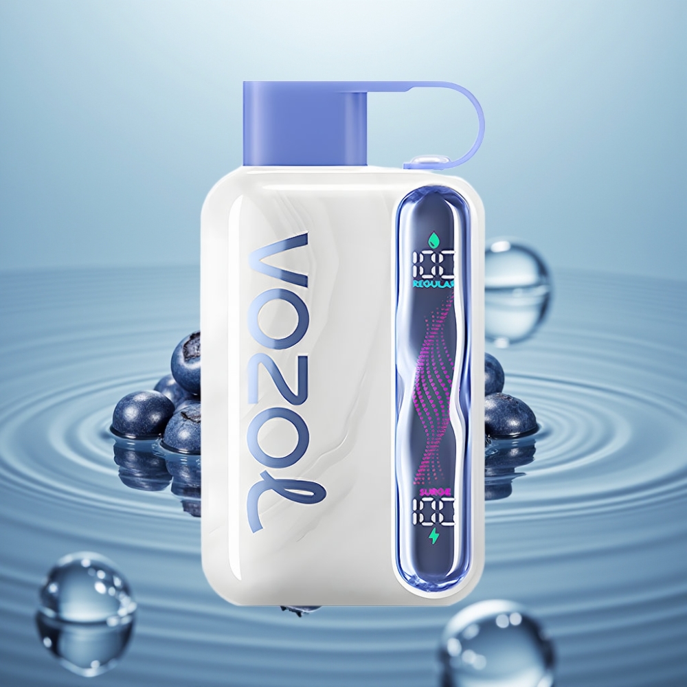 VOZOL STAR 40000 Mustika-Jää ühekordne Vape 1000mAh Type-C