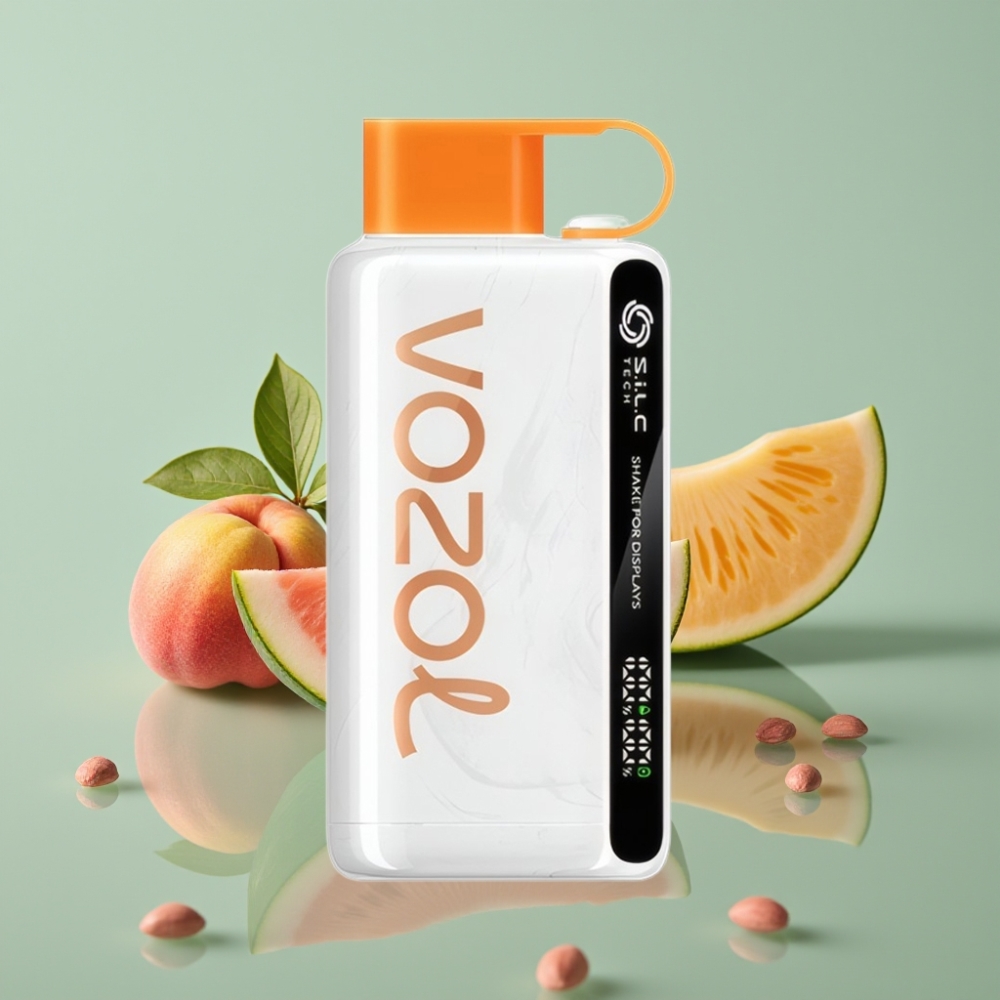 VOZOL STAR 9000/12000 Suitsu Purk VESIKARBIPLUSS-MANGOKARBIPLUSS-MELON