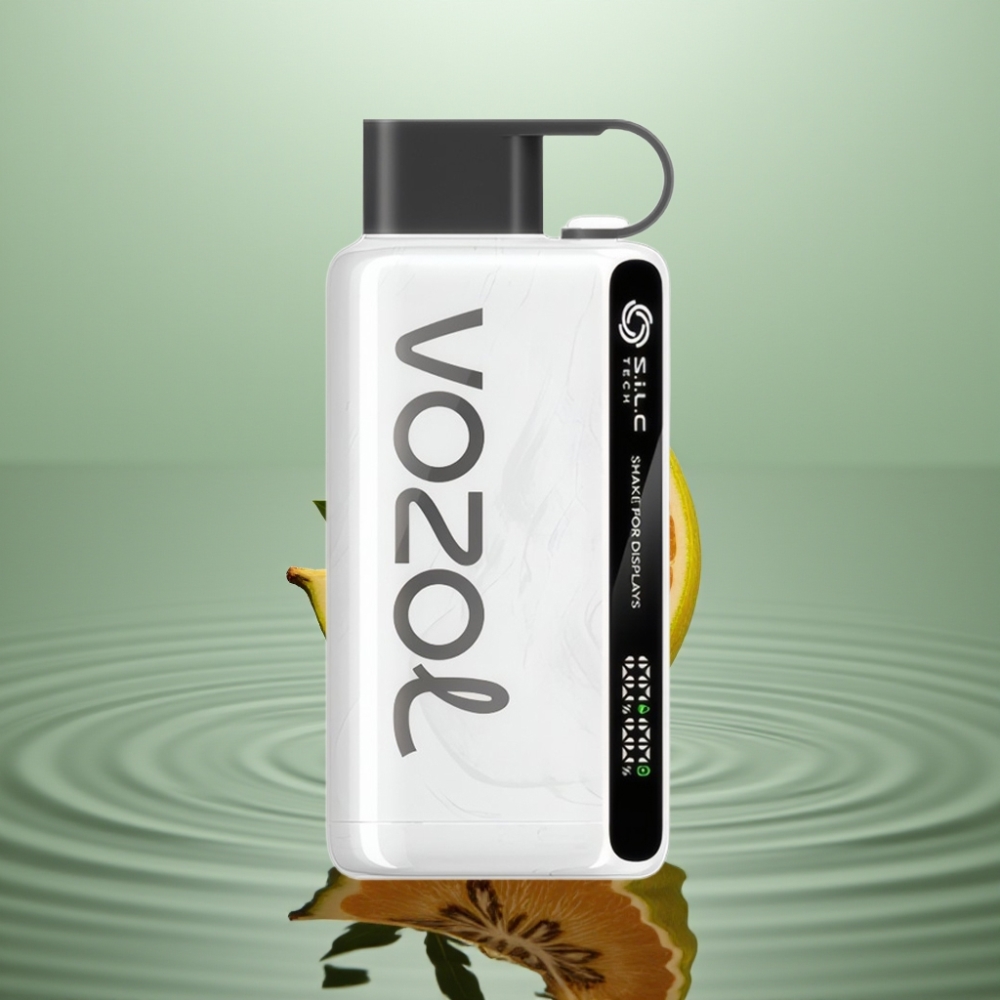 VOZOL STAR 9000/12000 Suitsutabaak Vape 650mAh Kiirelalaadimine PCR